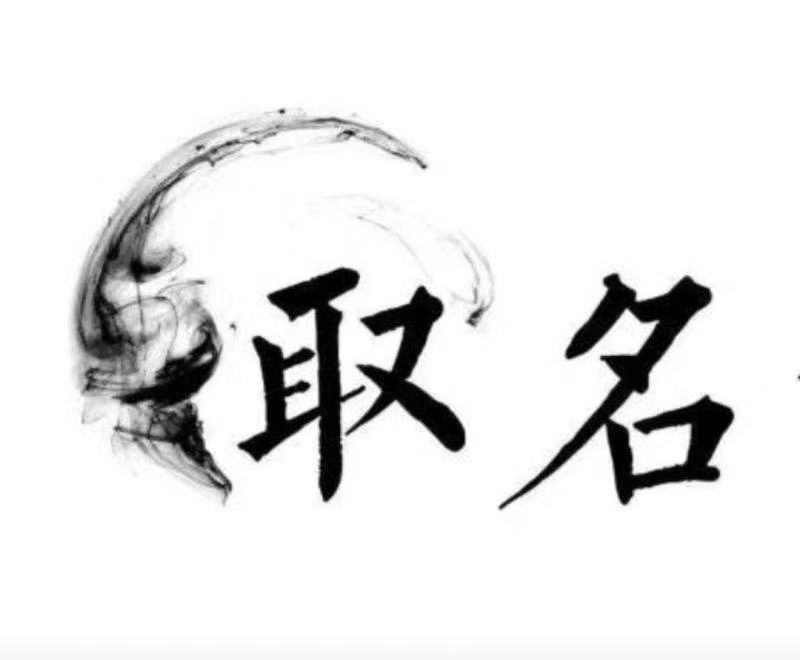  永善宝宝取名 大师一对一人工起名